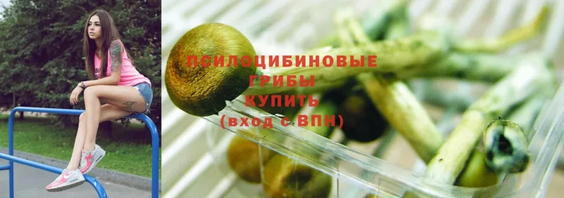 Галлюциногенные грибы Cubensis  OMG   Островной 