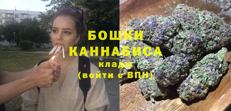 Канабис OG Kush  Островной 